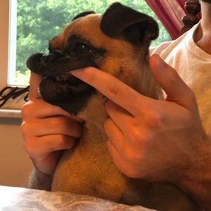 Meet your Posher, Rachel